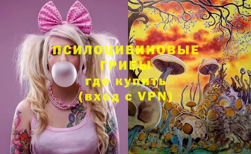 Галлюциногенные грибы MAGIC MUSHROOMS  Александров 